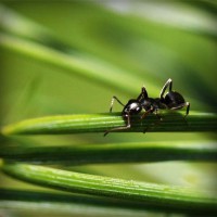 /album/n-sliadnieva-ltd/photolia-a05-jpg/
